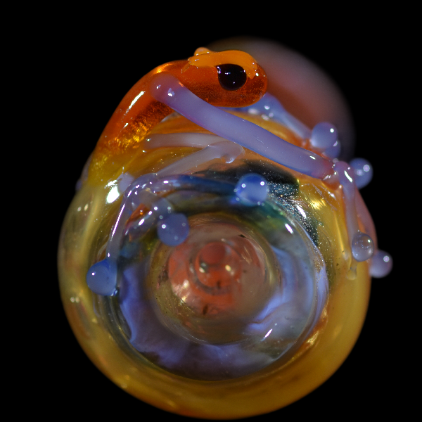 chillums tropical frog red