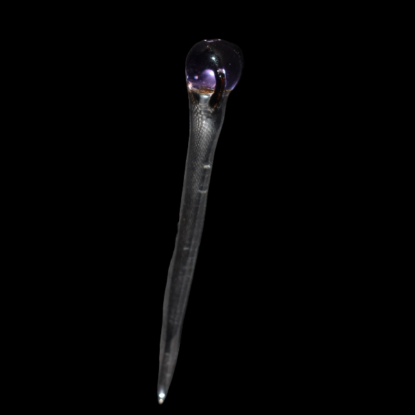 dabber en vidrio sorcier
